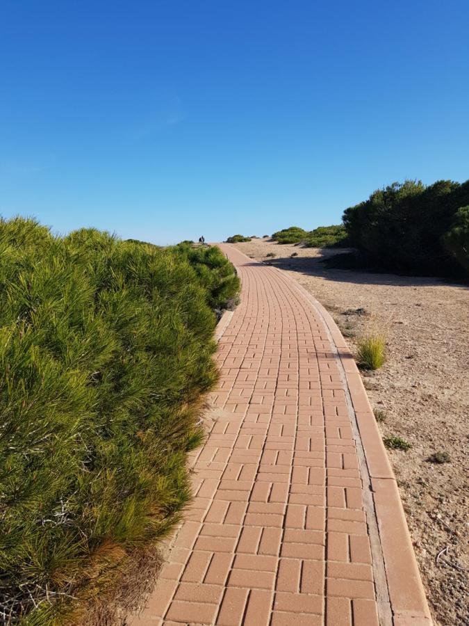 Torrevieja, La Mata 1 Bedroom Apartment エクステリア 写真